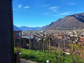 Casa tra le Vigne by Quokka 360 - flat with magnificent vineyard view